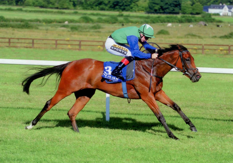 Ainippe Naas 23rd July 2014
